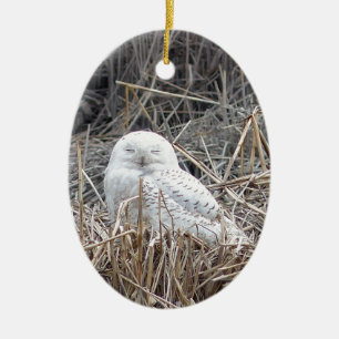 snowy owl ceramic tree decoration