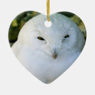 Snowy Owl Ceramic Tree Decoration