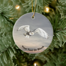 Snowy Owl