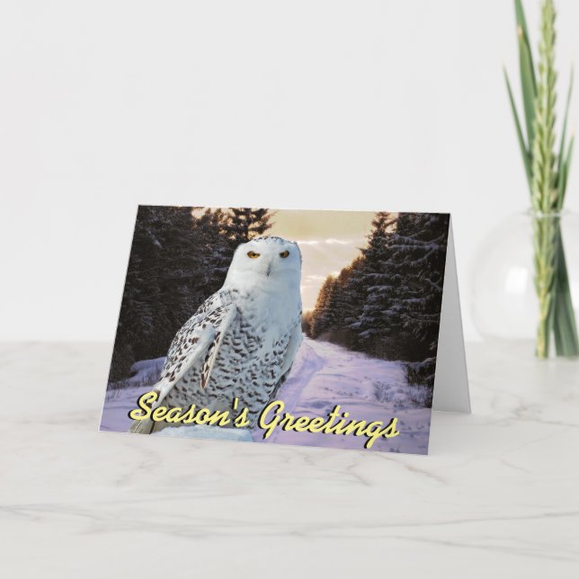 Snowy owl Christmas card (Front)
