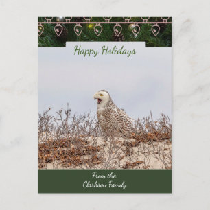 Snowy Owl  Christmas Card