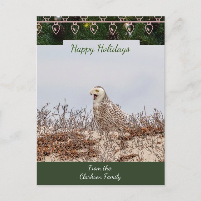 Snowy Owl  Christmas Card (Front)