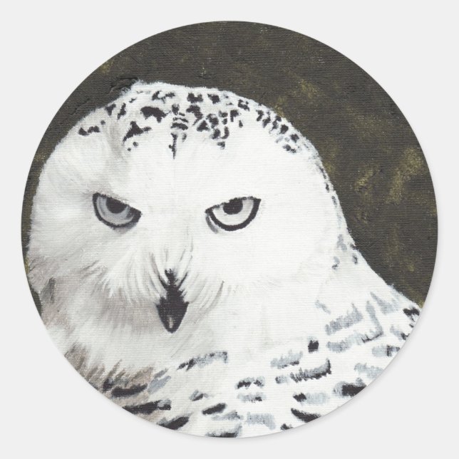 Snowy Owl Classic Round Sticker (Front)