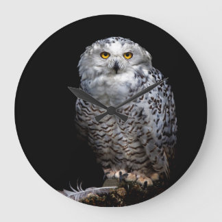 Snowy Owl clock