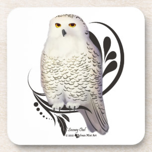 Snowy Owl Coaster