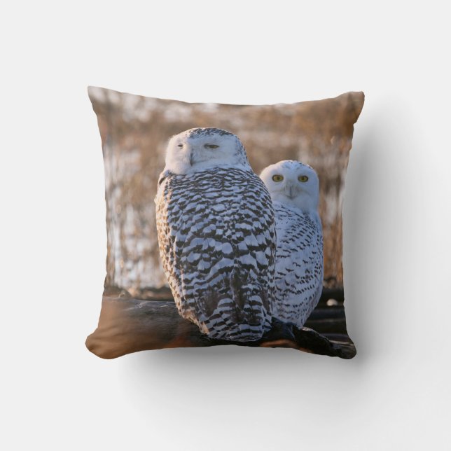 Snowy Owl Couple Cushion (Front)