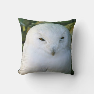 Snowy Owl Cushion