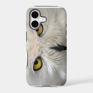 Snowy Owl Eyes