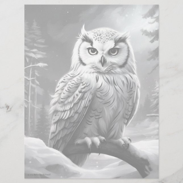 Snowy Owl - Grayscale Colouring Page (Front)