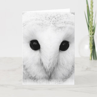 Snowy Owl Greeting Card