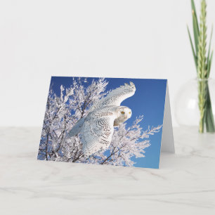 "Snowy Owl" Greeting Card