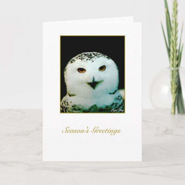Snowy Owl Holiday Card - Blank Inside (Front)