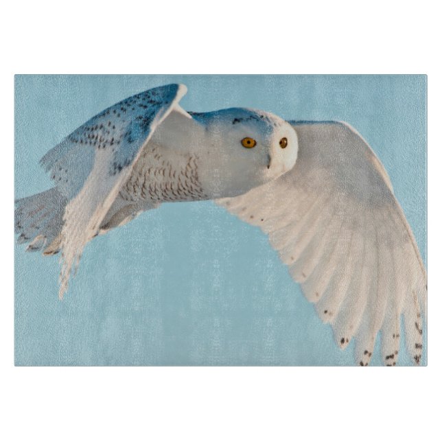 Snowy Owl in flight Cutting Board (Front)
