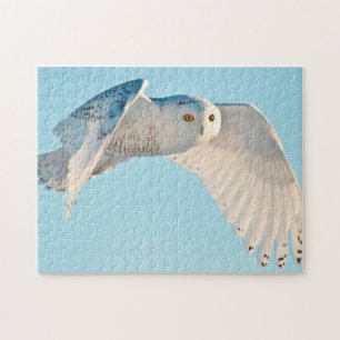Snowy Owl in flight Jigsaw Puzzle