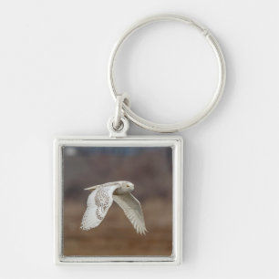 Snowy owl in flight key ring