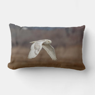 Snowy owl in flight lumbar cushion