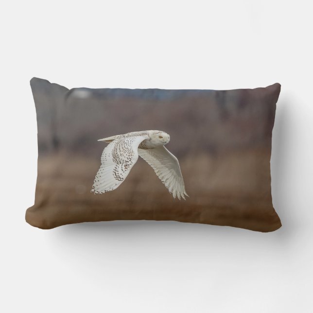 Snowy owl in flight lumbar cushion (Front)