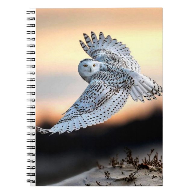 Snowy owl in flight notebook (Front)