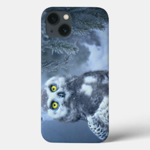 Snowy Owl in Winter iPhone 13 Case