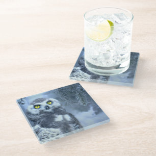 Snowy Owl in Winter Glass Coaster