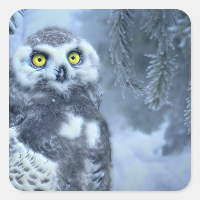 Snowy Owl in Winter Square Sticker (Front)