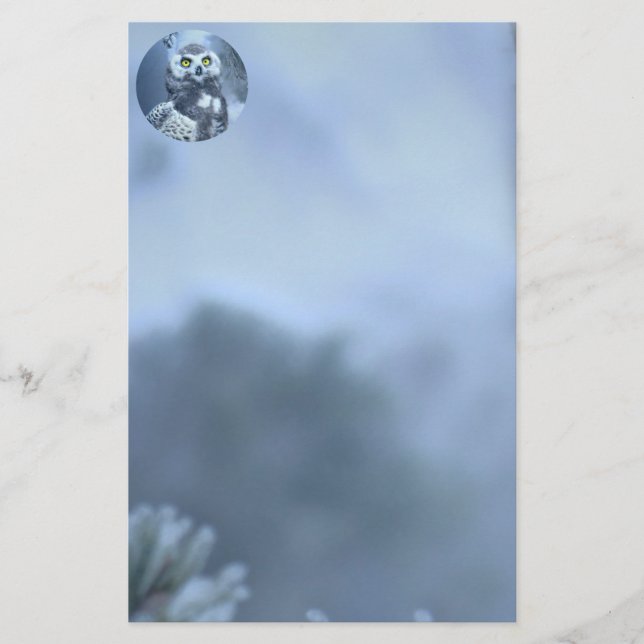 Snowy Owl in Winter Stationery (Front)