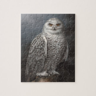 Snowy Owl Jigsaw Puzzle
