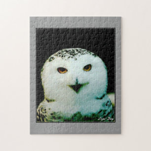 Snowy Owl Jigsaw Puzzle