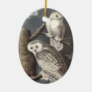 Snowy Owl, John Audubon Ceramic Tree Decoration