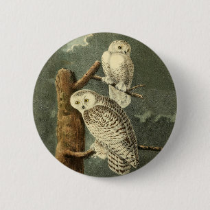 Snowy Owl John James Audubon Vintage Illustration 6 Cm Round Badge