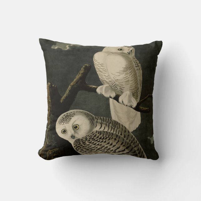 Snowy Owl, John James Audubon's Birds of America Cushion (Front)
