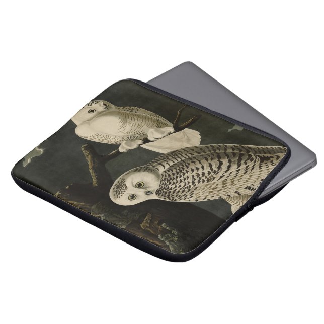 Snowy Owl, John James Audubon's Birds of America P Laptop Sleeve (Front Top)