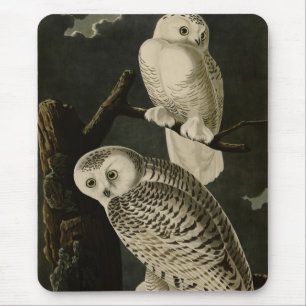 Snowy Owl, John James Audubon's Birds of America P Mouse Pad