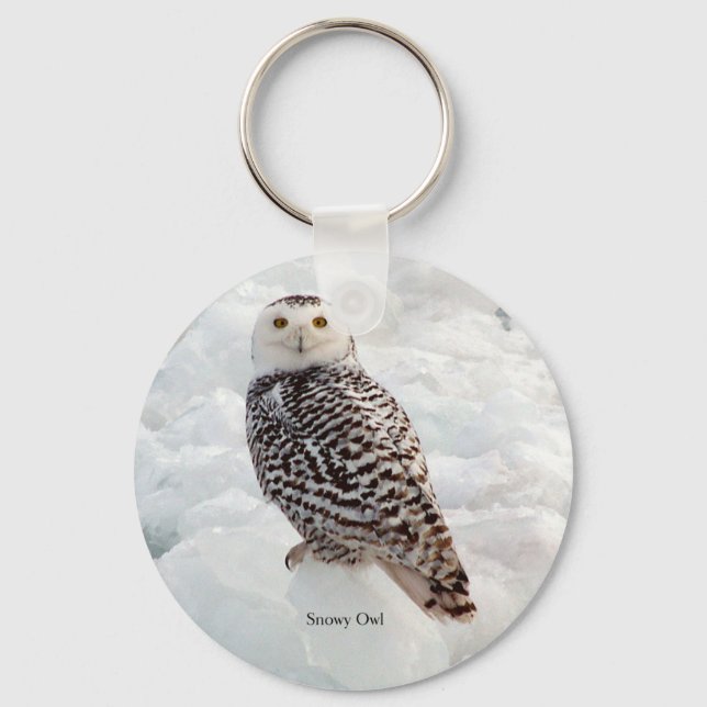 Snowy Owl key chain (Front)