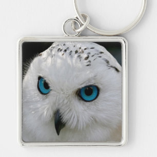 Snowy Owl Key Ring