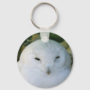 Snowy Owl Key Ring