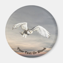 Snowy Owl