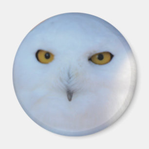 Snowy Owl Magnet