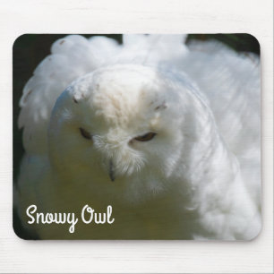 Snowy Owl Mouse Pad
