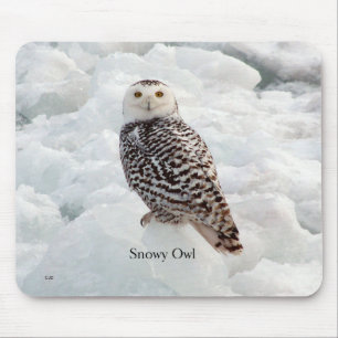 Snowy Owl Mousepad
