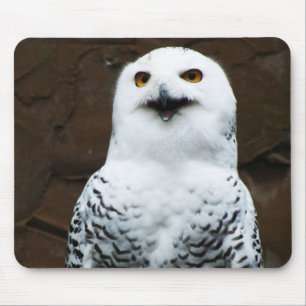 Snowy Owl mpcna Mouse Pad