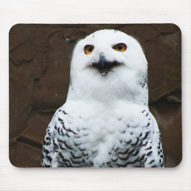 Snowy Owl mpcna Mouse Pad (Front)