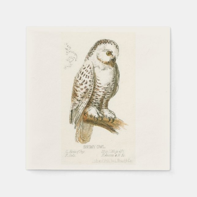 Snowy Owl Napkin (Front)