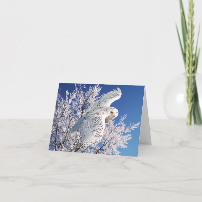 "Snowy Owl" Note Card (Front)