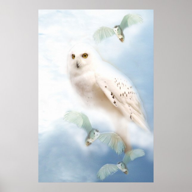 Snowy Owl on canvas Poster (Front)