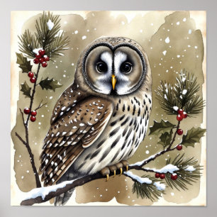 Snowy Owl on Holly Branch Watercolor Christmas Poster