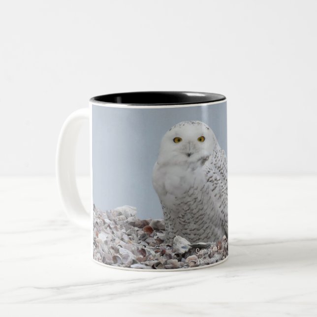 Snowy Owl on shells   Coffee Mug (Front Left)