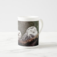 Snowy Owl Pair Woodland Wildlife Art