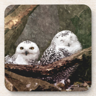Snowy Owl Pair Woodland Wildlife Art Coaster