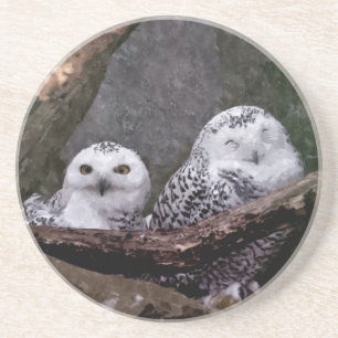 Snowy Owl Pair Woodland Wildlife Art Coaster